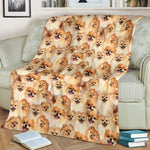 Pomeranian Full Face Blanket