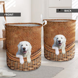 Maremma Sheepdog - Rattan - LB