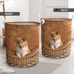 Rough Collie - Rattan - LB