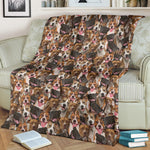 American Staffordshire Terrier Full Face Blanket