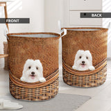 Coton De Tulear - Rattan - LB