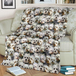 Dandie Dinmont Terrier Full Face Blanket