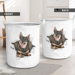 SwedishVallhund - Tornpaper - LB