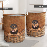 Rottweiler - Rattan - LB