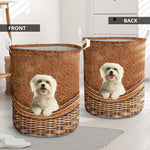 Maltese - Rattan - LB