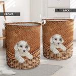 Cavachon - Rattan - LB