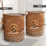 Cavoodle - Rattan - LB