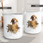 Labrador Retriever - Tornpaper - LB