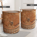 Griffon Bruxellois - Rattan - LB