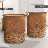 Griffon Bruxellois - Rattan - LB