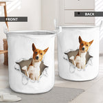 Basenji - Tornpaper - LB