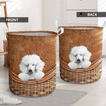 White Poodle - Rattan - LB