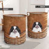 Japanese Chin - Rattan - LB