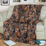 Doberman Pinscher Full Face Blanket