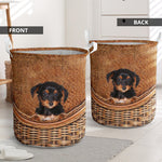 Dorkie - Rattan - LB