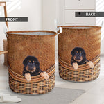 Tibetan Mastiff - Rattan - LB