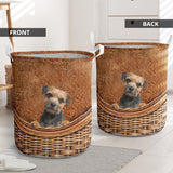 Border Terrier - Rattan - LB