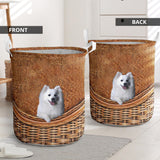 Japanese Spitz - Rattan - LB