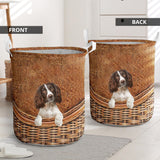 English Springer Spaniel - Rattan - LB