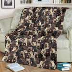 Bouvier des Flandres Full Face Blanket