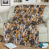 Saluki Full Face Blanket