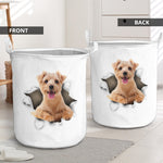 Norfolk Terrier - Tornpaper - LB