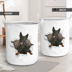 Dutch Shepherd - Tornpaper - LB