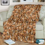 Nova Scotia Duck Tolling Retriever Full Face Blanket