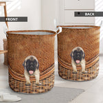 English Mastiff - Rattan - LB