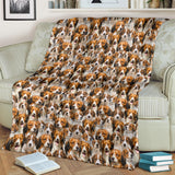 Kooikerhondje Full Face Blanket