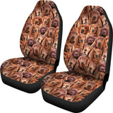 Irish Setter Full Face Car Seat Covers