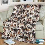 Jack Russell Terrier Full Face Blanket