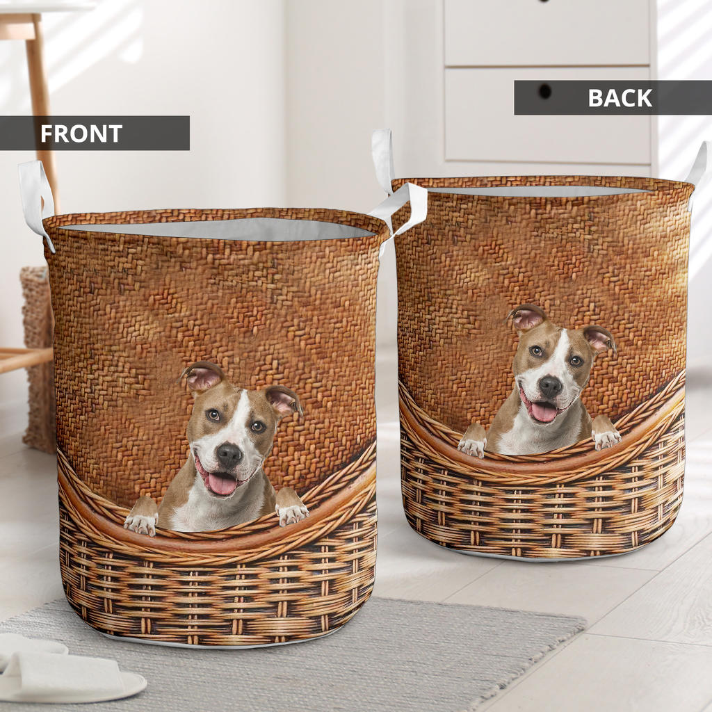 American Staffordshire Terrier - Rattan - LB