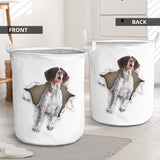 German Shorthair Pointer - Tornpaper - LB