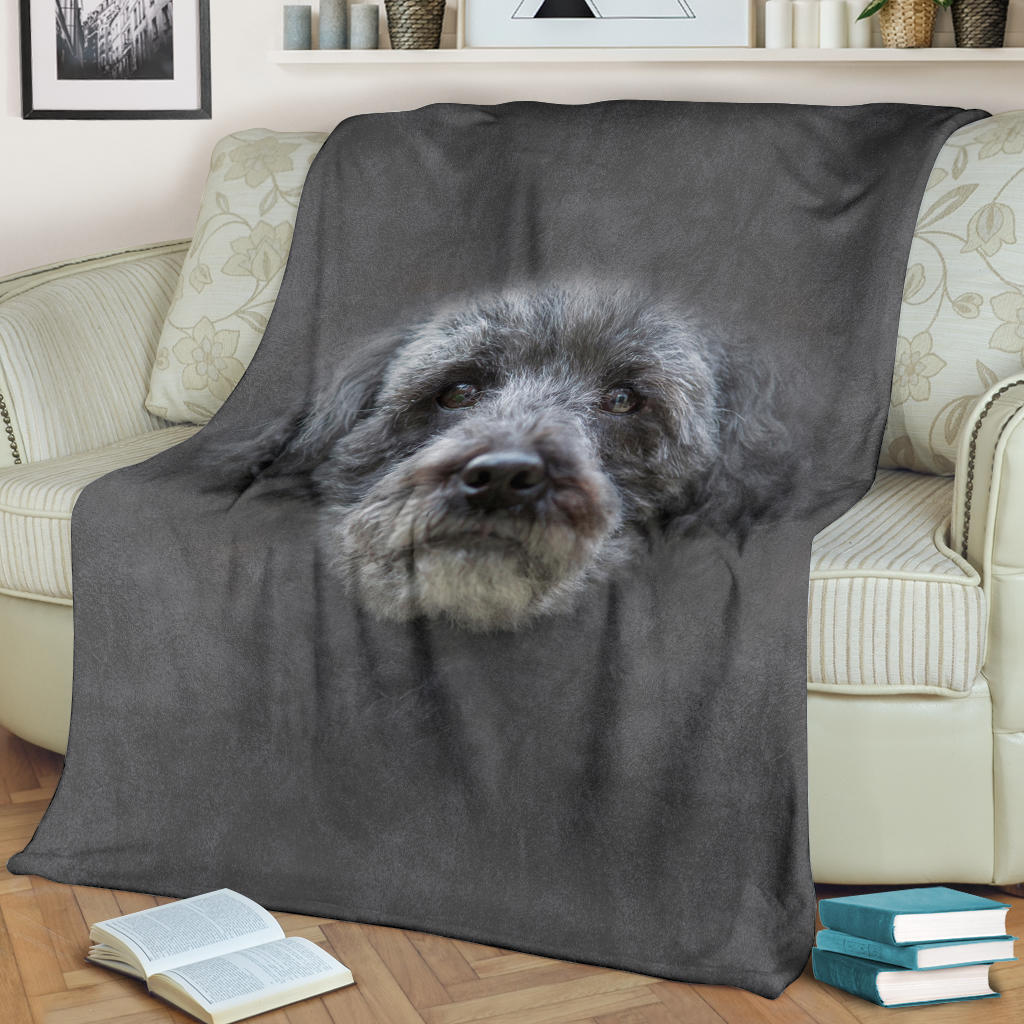 Schnoodle Face Hair Blanket