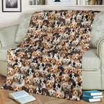 Havanese Full Face Blanket