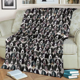 Landseer 2 Full Face Blanket