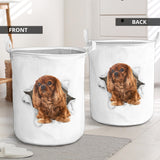 King Charles Spaniel1 - Tornpaper - LB