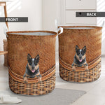 Australian Cattle Dog - Rattan - LB