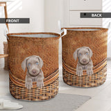 Weimaraner - Rattan - LB