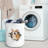 Pembroke Welsh Corgi1 - Tornpaper - LB