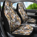 Berger Picard Full Face Car Seat Covers