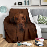 Flat Coated Retriever Face Hair Blanket