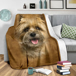 Cairn Terrier 2 Face Hair Blanket