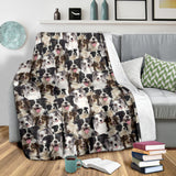 Border Collie - Blanket - 1358