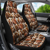 Bracco Italiano Full Face Car Seat Covers