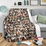 Australian Shepherd Full Face Blanket