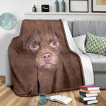 Patterdale Terrier Face Hair Blanket