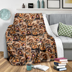 Yorkshire Terrier - Blanket - 1366