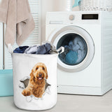 Goldendoodle - Tornpaper - LB